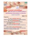 Affiche Journée LAMMDA 03-05-2018_pages-to-jpg-0001